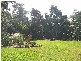 184 Camille Drive, Strathdickie QLD 4800