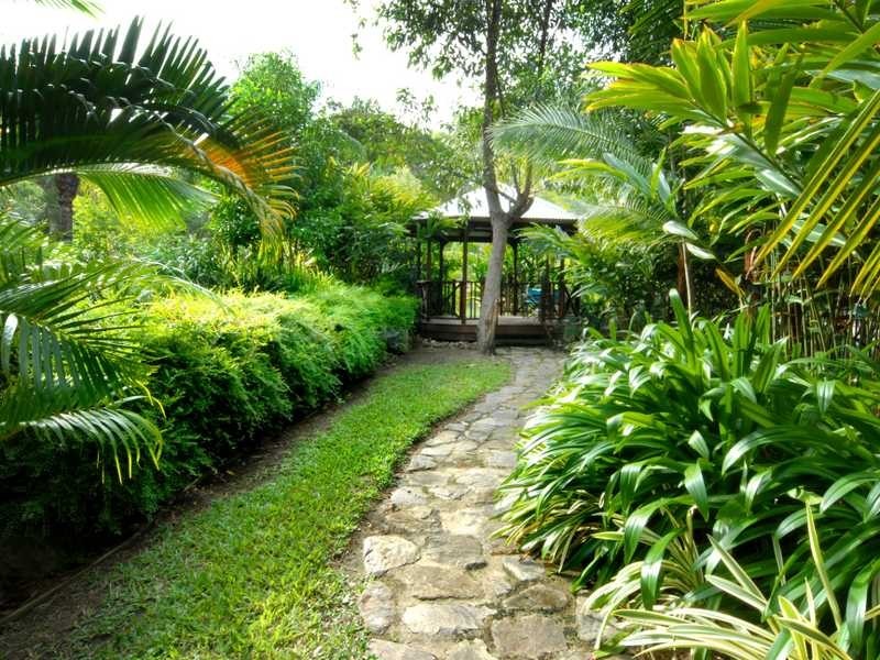 52 Wattle Road, Cannon Valley QLD 4800