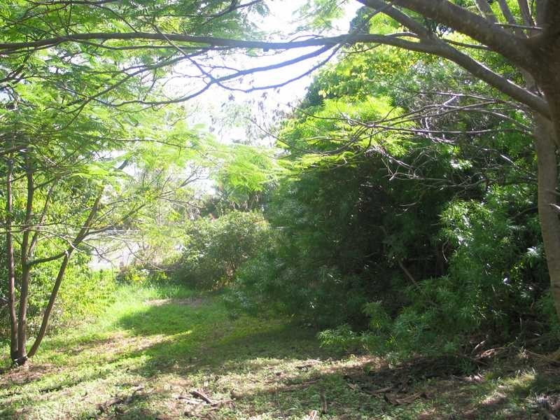 25 Airlie Crescent, Airlie Beach QLD 4802