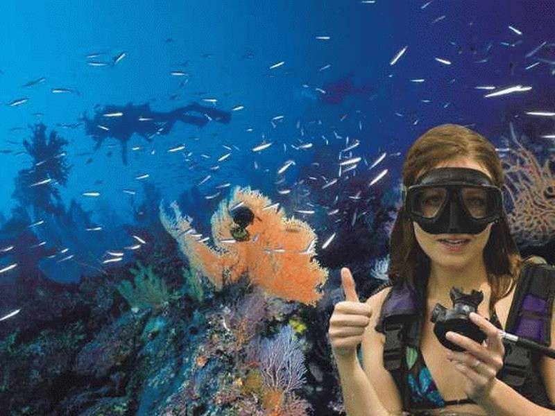 2757 Shute Harbour Road Dive Centre, Jubilee Pocket QLD 4802