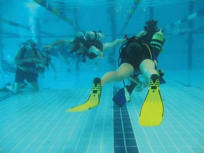 2757 Shute Harbour Road Dive Centre, Jubilee Pocket QLD 4802