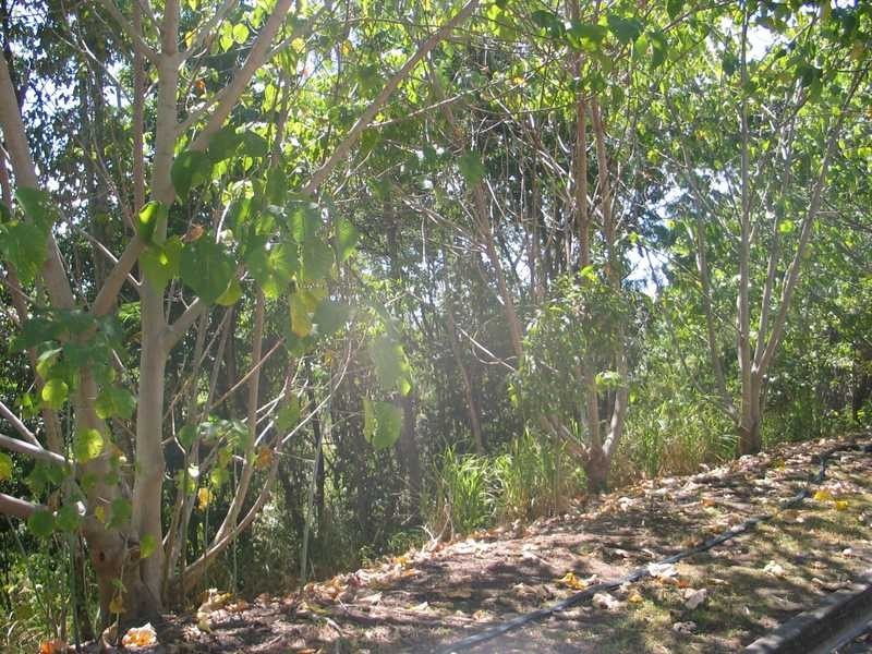 13 Waterson Way, Airlie Beach QLD 4802