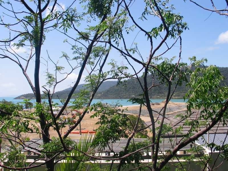 Unit Orchid/Hibiscus Golden Orchid Drive, Airlie Beach QLD 4802