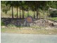 Lot 2 Stonehaven Close, Airlie Beach QLD 4802