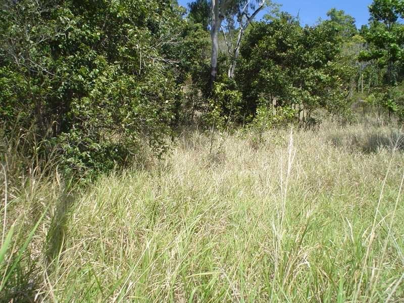 Lot 2 Stonehaven Close, Airlie Beach QLD 4802