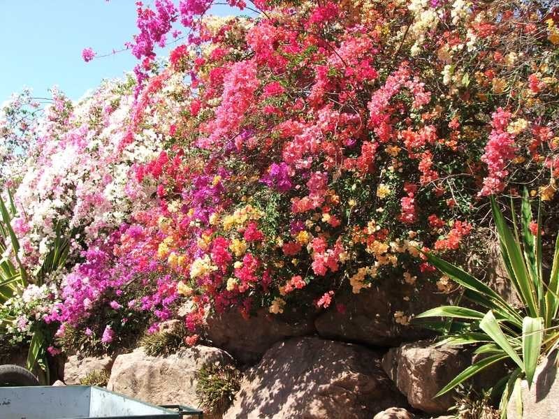 38 Roseric Crescent, Hideaway Bay QLD 4800