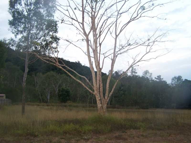 29 Riverview Drive, Mount Julian QLD 4800