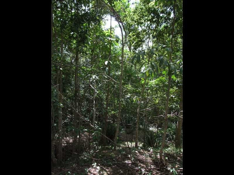 Lot/2 Staniland Drive, Strathdickie QLD 4800