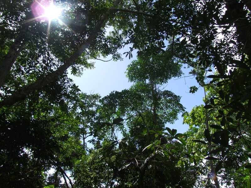 Lot/2 Staniland Drive, Strathdickie QLD 4800