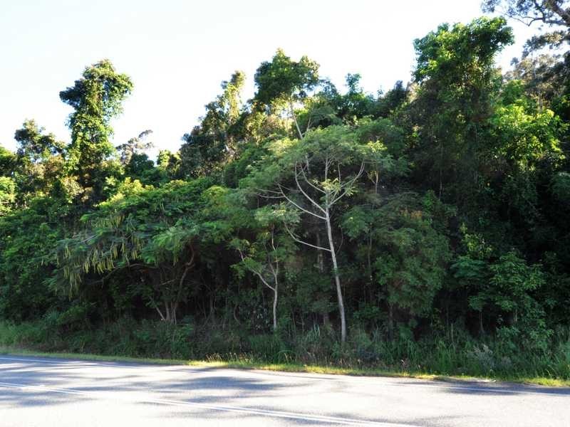 Lot 17 Shute Harbour Road, Flametree QLD 4802