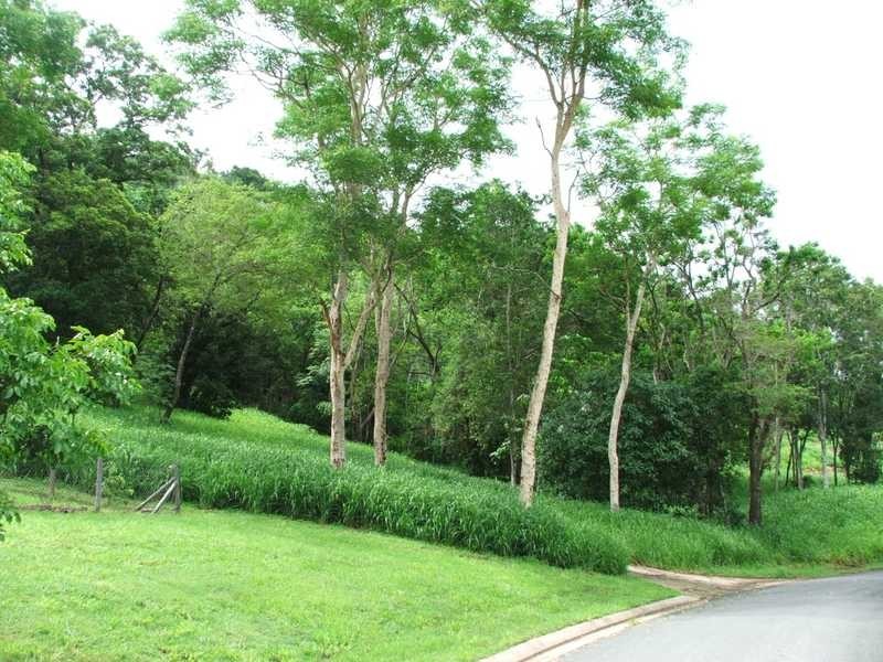 Lot/9 Kookaburra Drive, Riordanvale QLD 4800