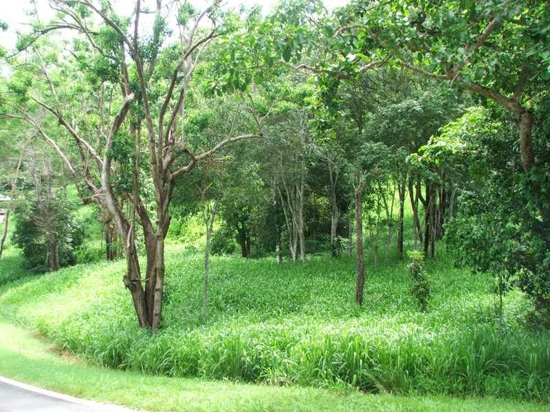 Lot/9 Kookaburra Drive, Riordanvale QLD 4800