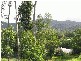 Lot 77/ Kingfisher Terrace, Jubilee Pocket QLD 4802