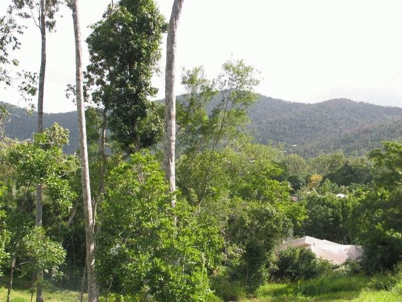 Lot 77/ Kingfisher Terrace, Jubilee Pocket QLD 4802