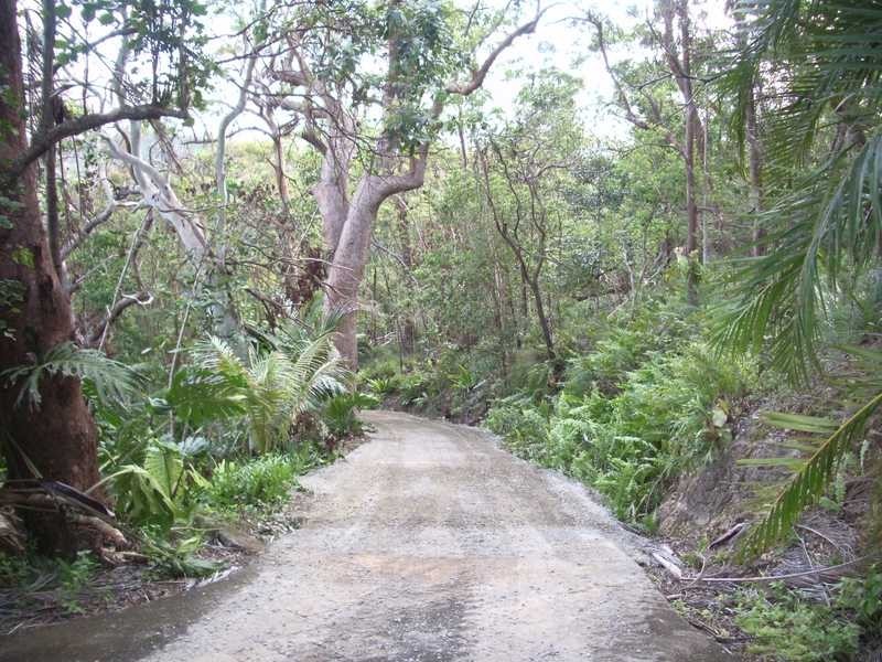 69 Allan Road, Conway QLD 4800