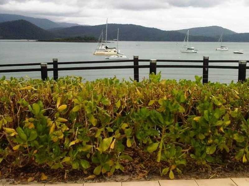 Unit 132/157 Shingley Drive, Airlie Beach QLD 4802