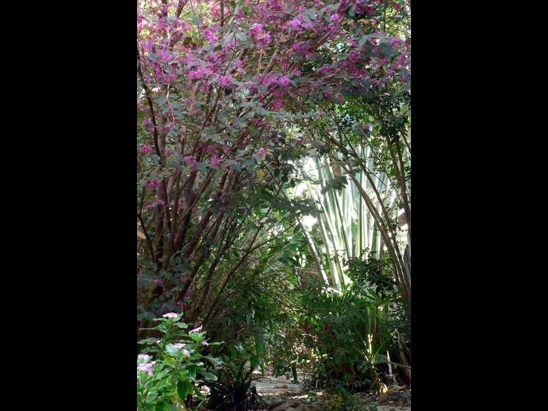 15 Balaka Street, Cannonvale QLD 4802