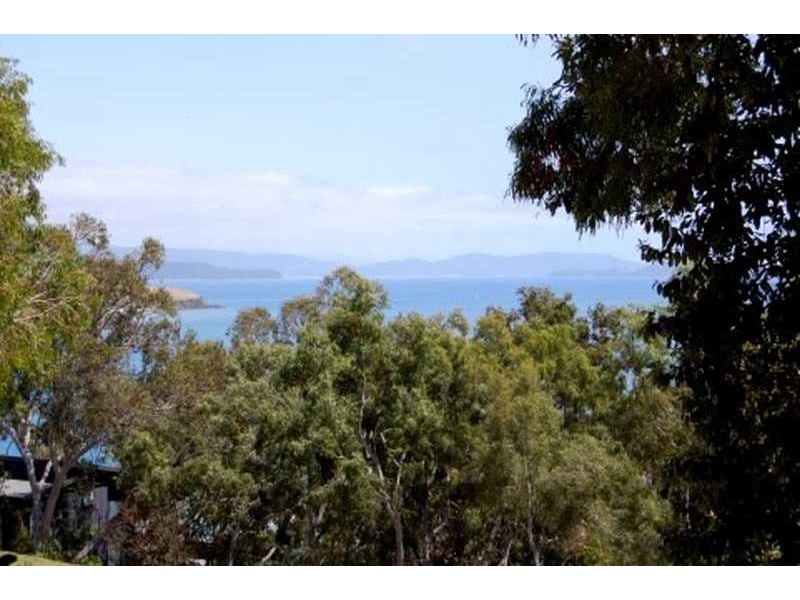 Unit N-PAND/4 Banksia Court, Hamilton Island QLD 4803