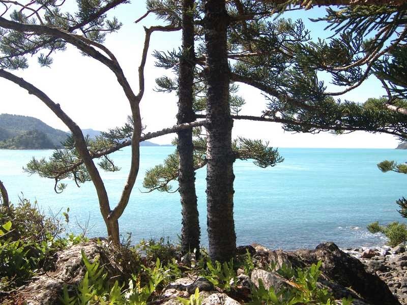 Lot MS/5 Coral Sea Avenue, Hamilton Island QLD 4803