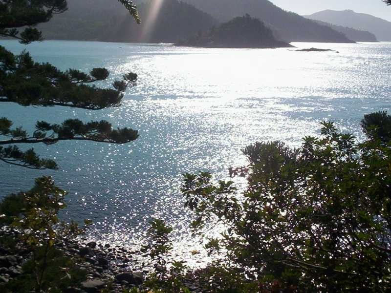 Lot MS/5 Coral Sea Avenue, Hamilton Island QLD 4803