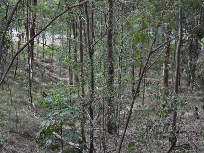 20 Byron Court, Cornubia QLD 4130