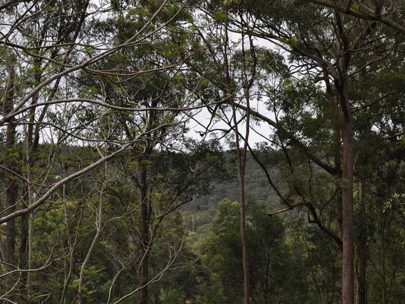 20 Byron Court, Cornubia QLD 4130