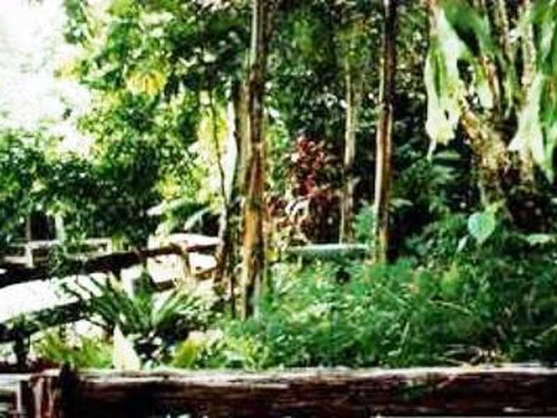 58 Tristania Street, Cornubia QLD 4130