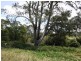 161 Pagan Road, Yatala QLD 4207