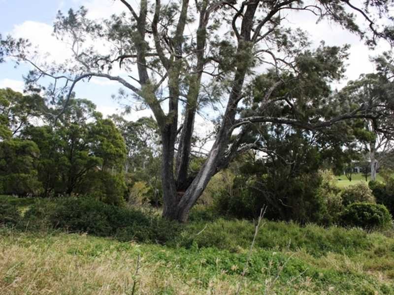 161 Pagan Road, Yatala QLD 4207