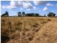 161 Pagan Road, Yatala QLD 4207