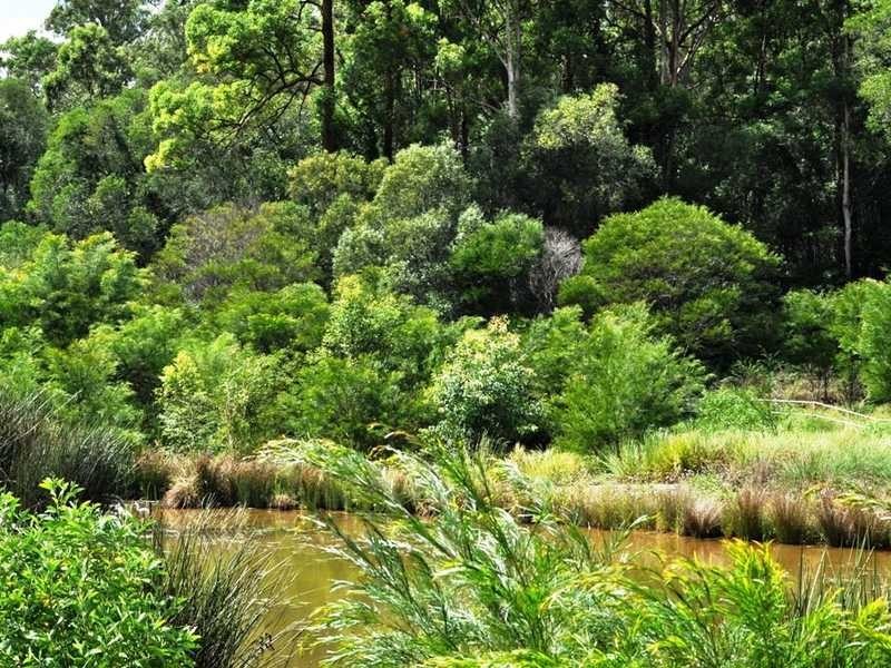 16 John Markwell Parade, Daisy Hill QLD 4127