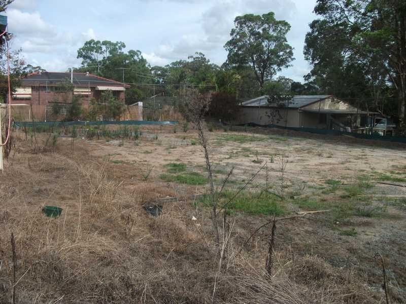 49 Clivia Crescent, Daisy Hill QLD 4127