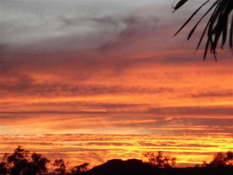 12 Herberton Street, Waterford QLD 4133