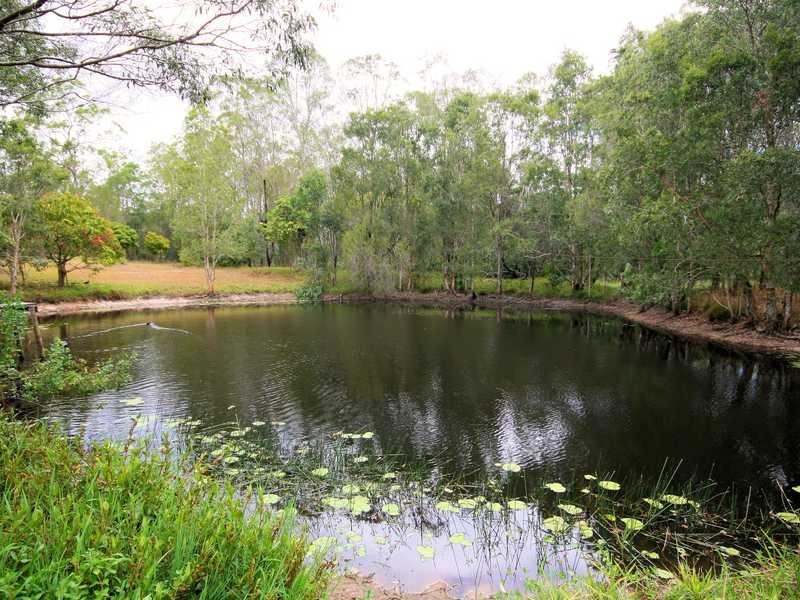 173 Coorang Road, Carbrook QLD 4130