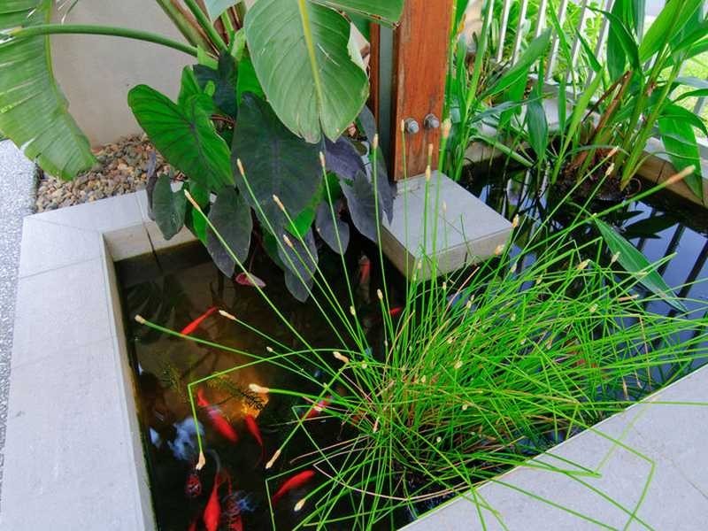 1 Mark Townend Link, Daisy Hill QLD 4127