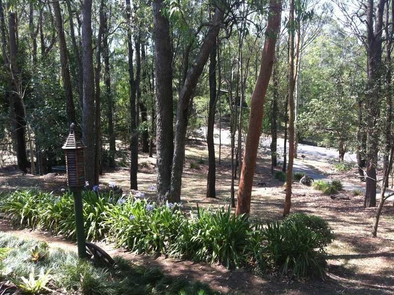 42 Tanah Merah Ave, Tanah Merah QLD 4128