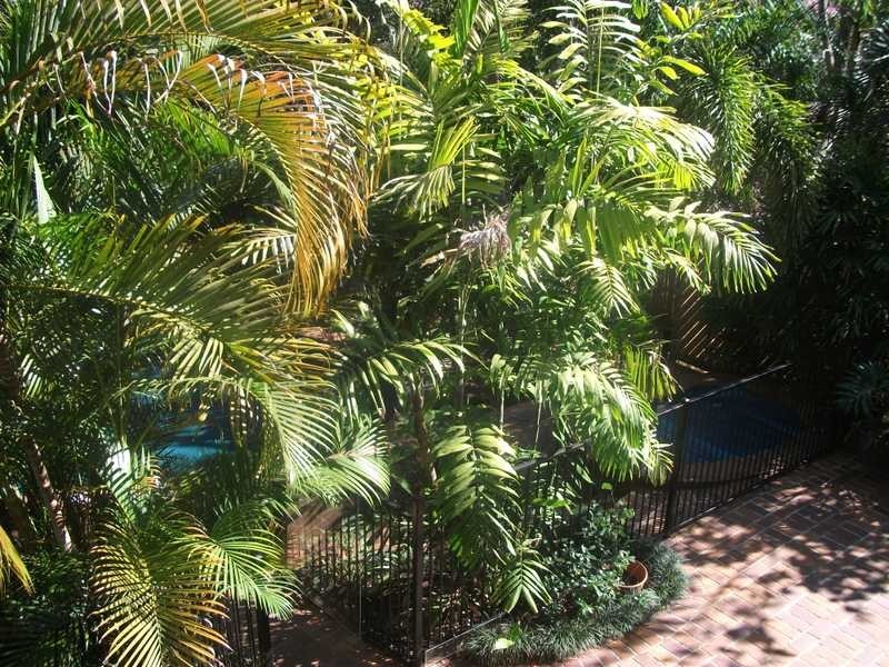 8 Highview  St, Daisy Hill QLD 4127