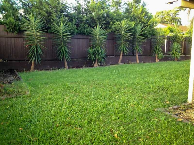 26 Wootton Cr, Springwood QLD 4127