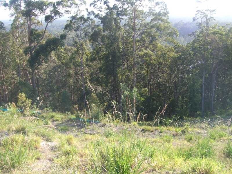 Lot 4 Donna Place, Buderim QLD 4556