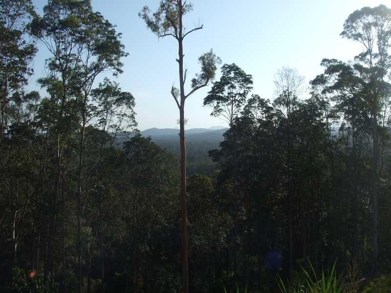 Lot 4 Donna Place, Buderim QLD 4556