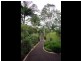 7 Barleycorn Ave, Buderim QLD 4556