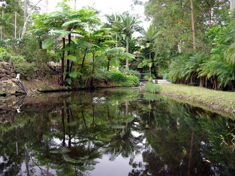 7 Barleycorn Ave, Buderim QLD 4556