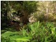 9 Tyler Road, Buderim QLD 4556