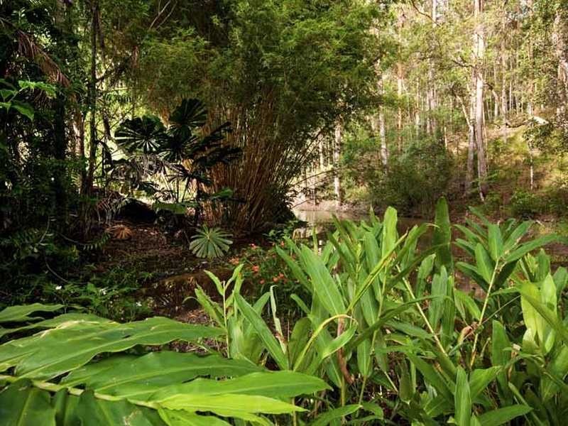 9 Tyler Road, Buderim QLD 4556