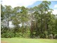 54A Winston Road, Palmwoods QLD 4555