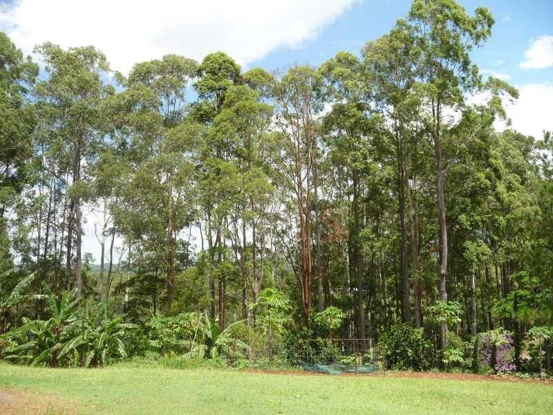 54A Winston Road, Palmwoods QLD 4555