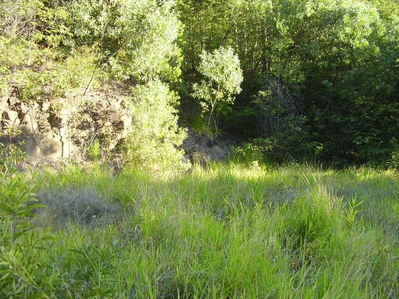 60 Martins Creek Rd, Buderim QLD 4556