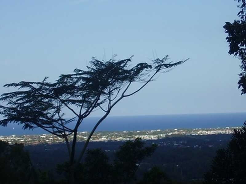 176 Mooloolaba Road, Buderim QLD 4556