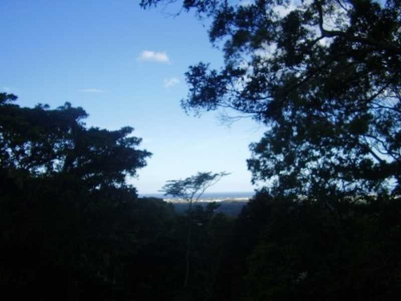 176 Mooloolaba Road, Buderim QLD 4556