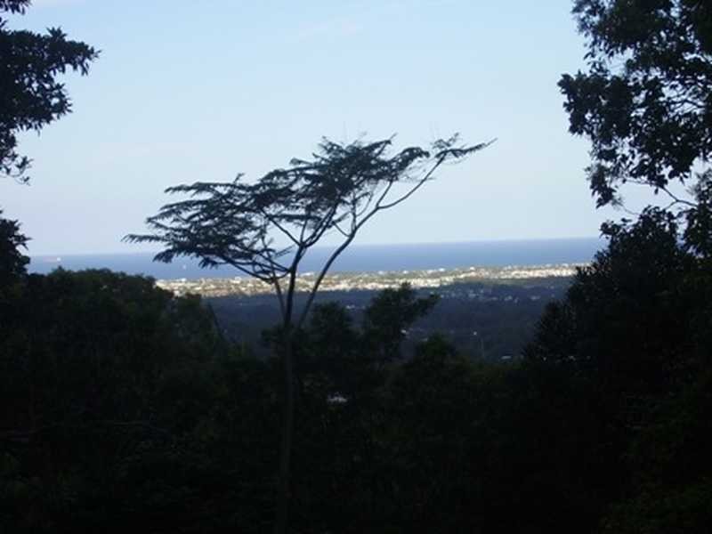 176 Mooloolaba Road, Buderim QLD 4556